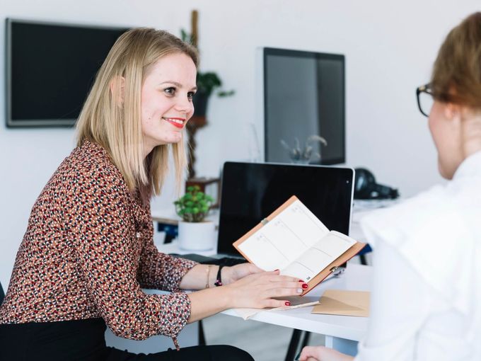 Professional consultant in business meeting with client