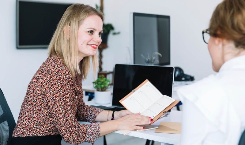 Professional consultant in business meeting with client