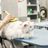 Pet Groomers